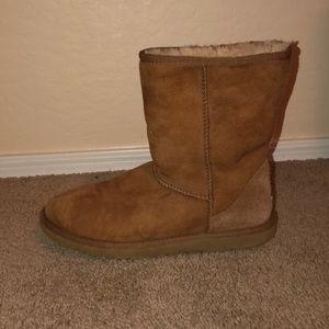 tan uggs